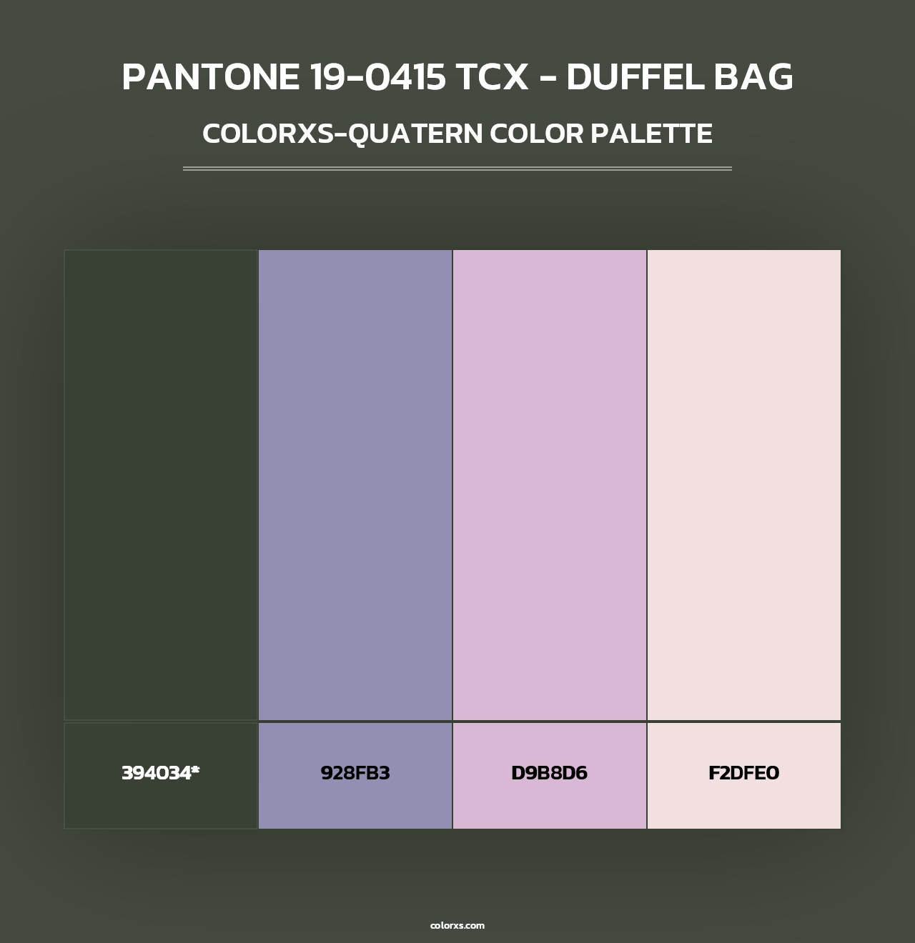 PANTONE 19-0415 TCX - Duffel Bag - Colorxs Quad Palette