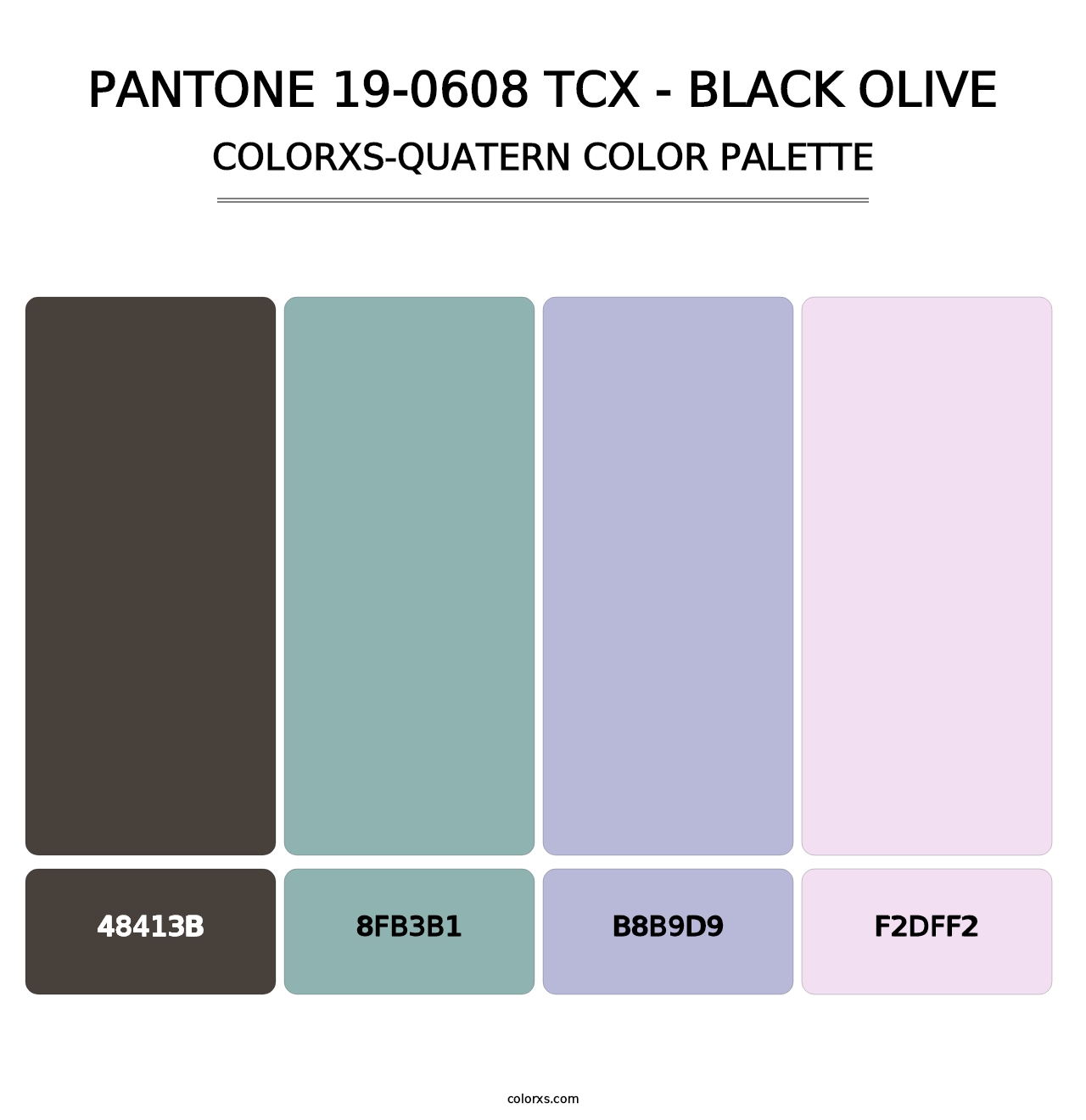 PANTONE 19-0608 TCX - Black Olive - Colorxs Quatern Palette