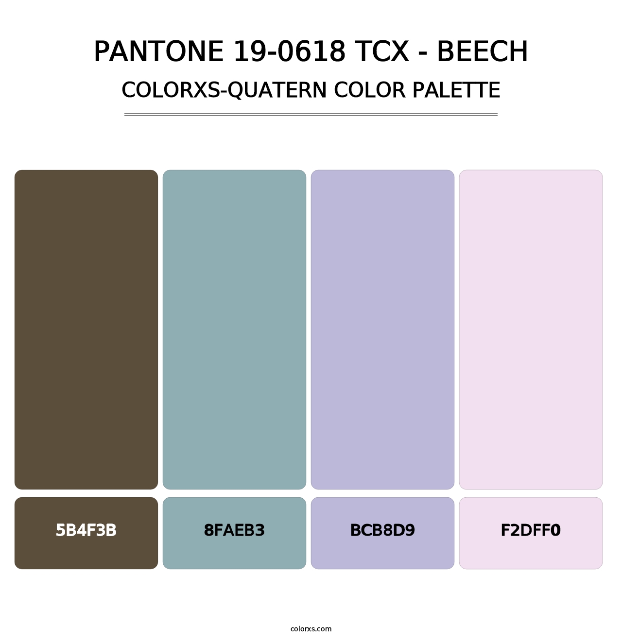 PANTONE 19-0618 TCX - Beech - Colorxs Quatern Palette