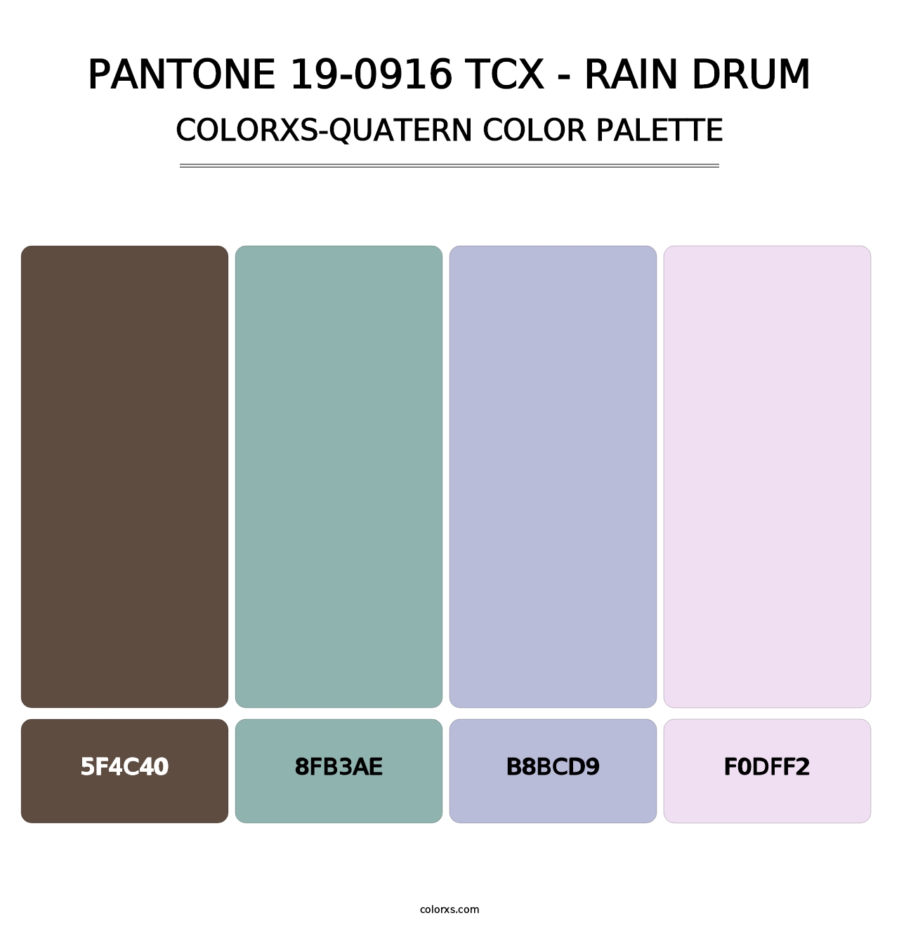PANTONE 19-0916 TCX - Rain Drum - Colorxs Quatern Palette