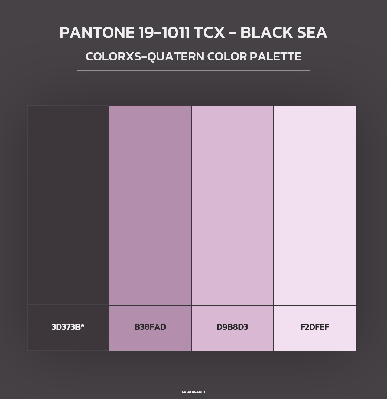 PANTONE 19-1011 TCX - Black Sea - Colorxs Quad Palette