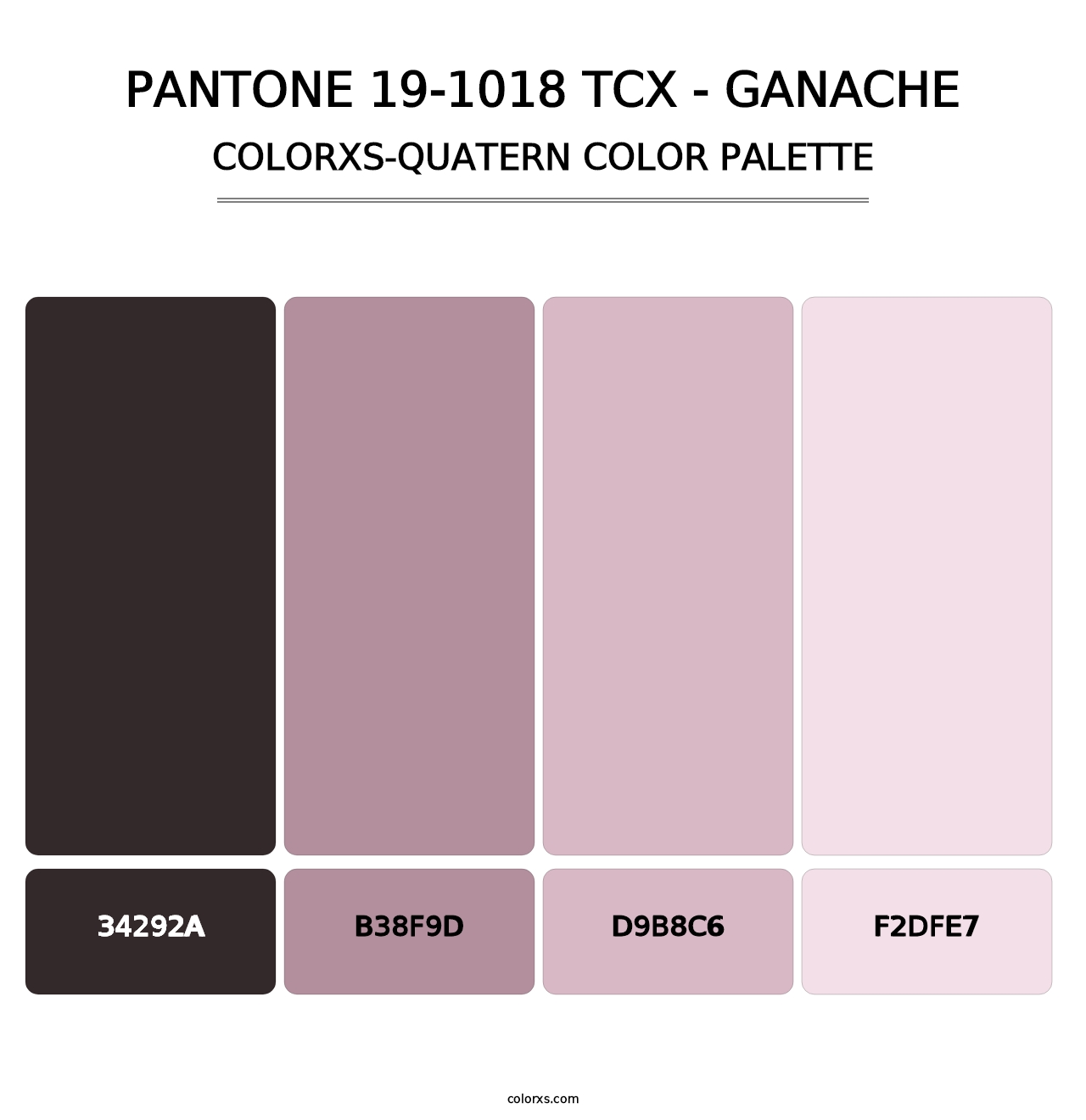 PANTONE 19-1018 TCX - Ganache - Colorxs Quatern Palette