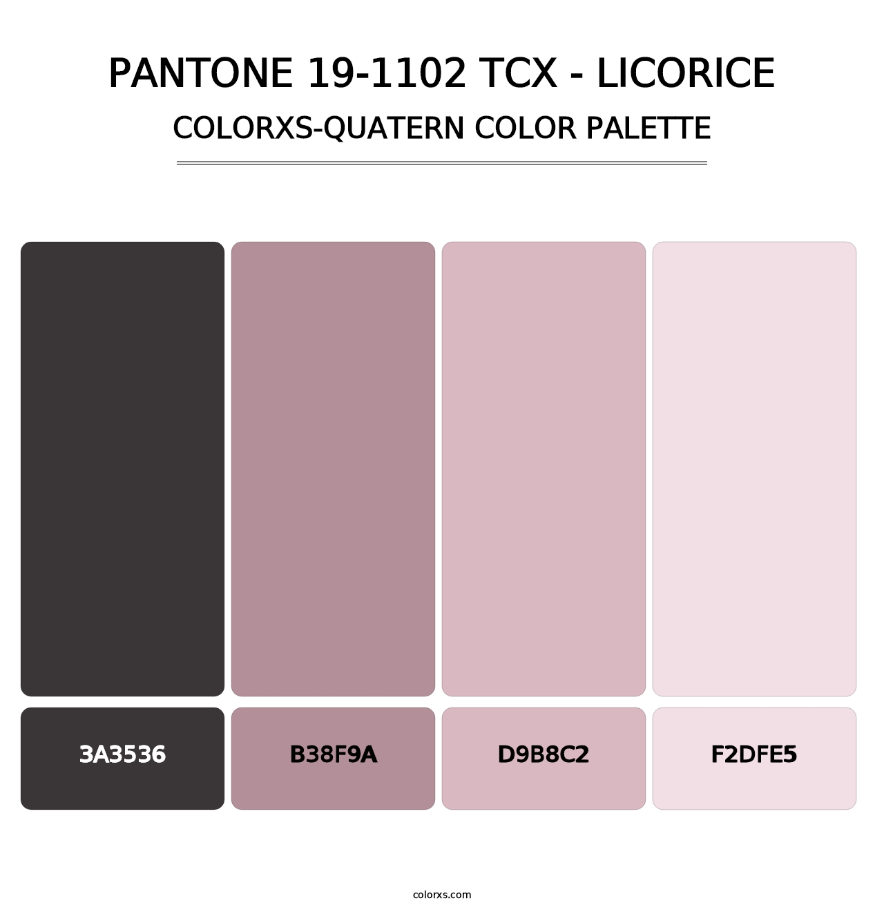 PANTONE 19-1102 TCX - Licorice - Colorxs Quatern Palette