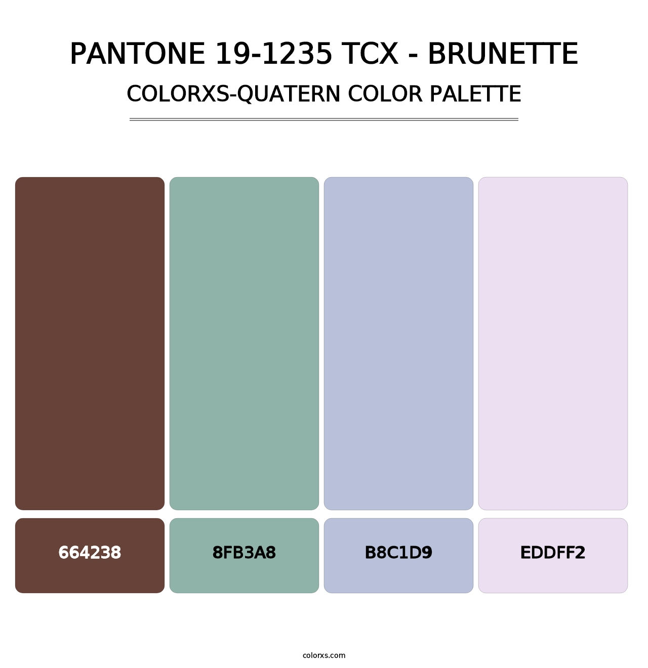 PANTONE 19-1235 TCX - Brunette - Colorxs Quatern Palette