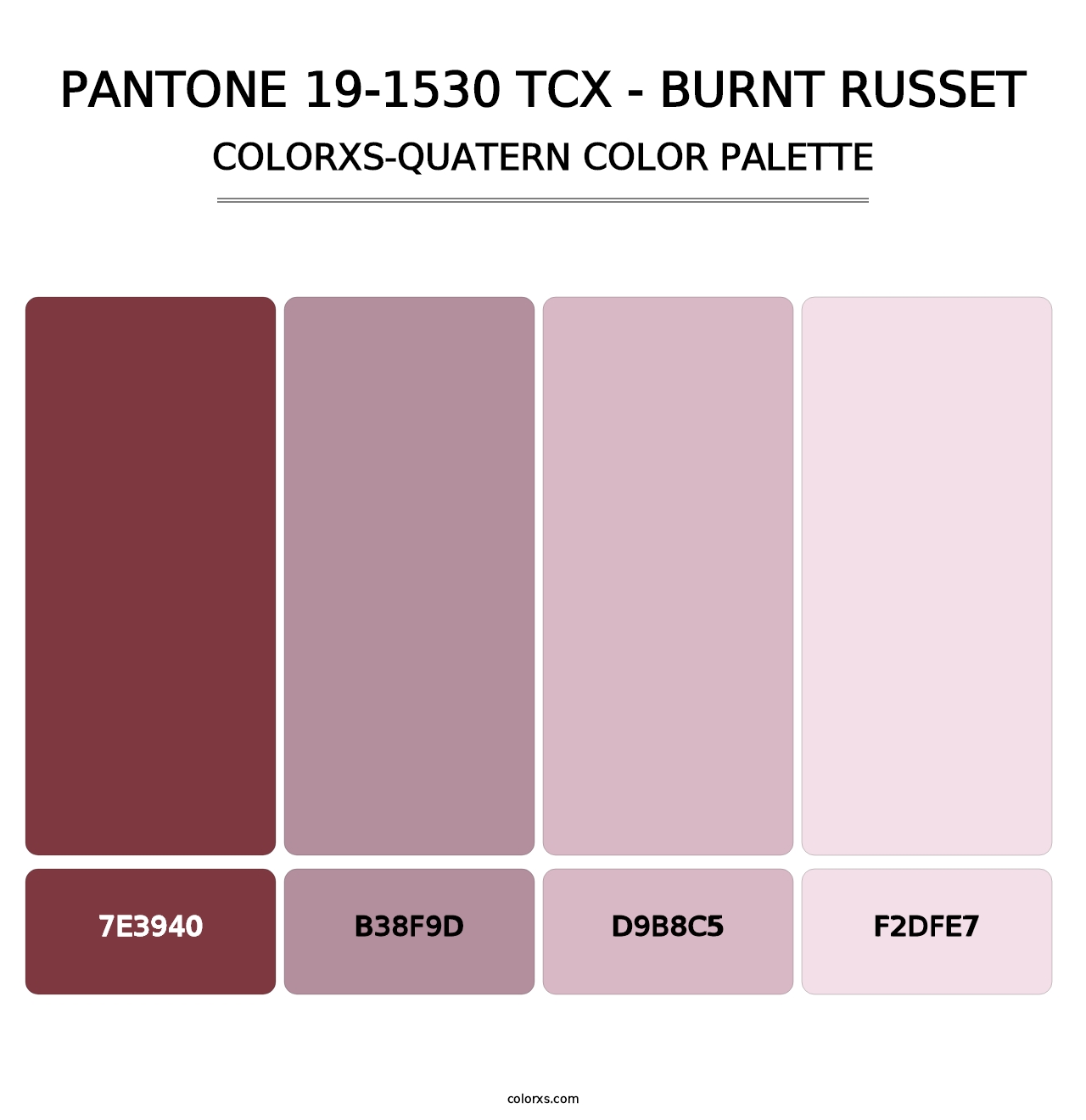 PANTONE 19-1530 TCX - Burnt Russet - Colorxs Quatern Palette