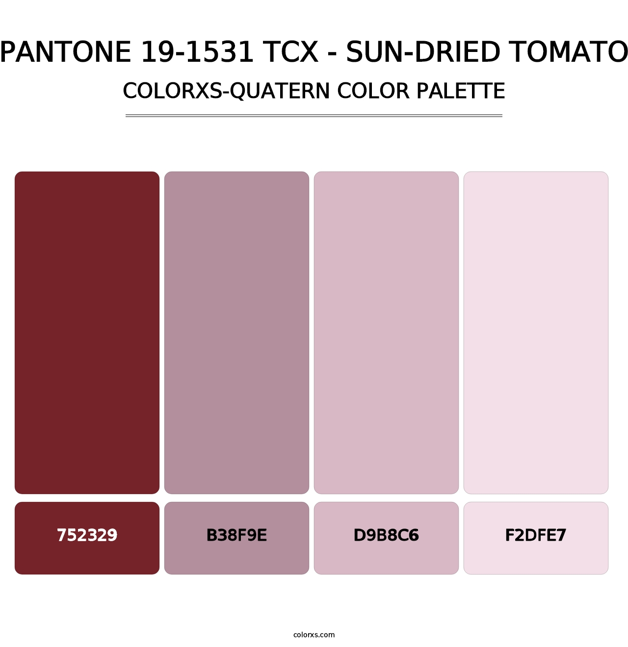 PANTONE 19-1531 TCX - Sun-Dried Tomato - Colorxs Quatern Palette