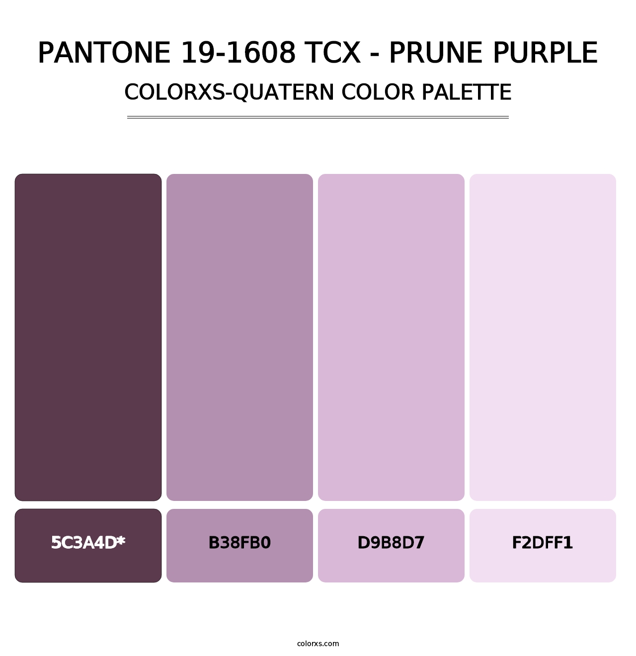 PANTONE 19-1608 TCX - Prune Purple - Colorxs Quatern Palette