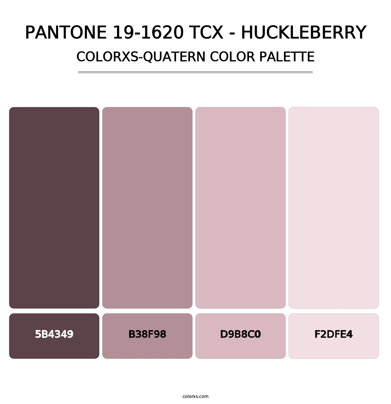 PANTONE 19-1620 TCX - Huckleberry - Colorxs Quatern Palette