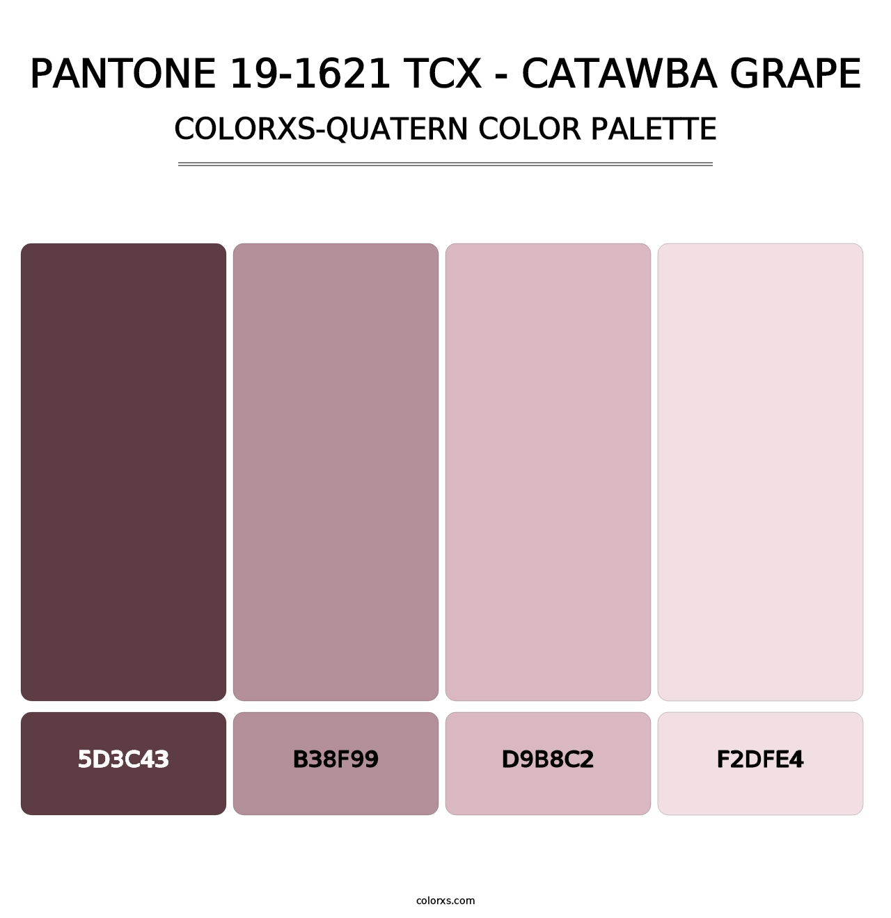 PANTONE 19-1621 TCX - Catawba Grape - Colorxs Quatern Palette