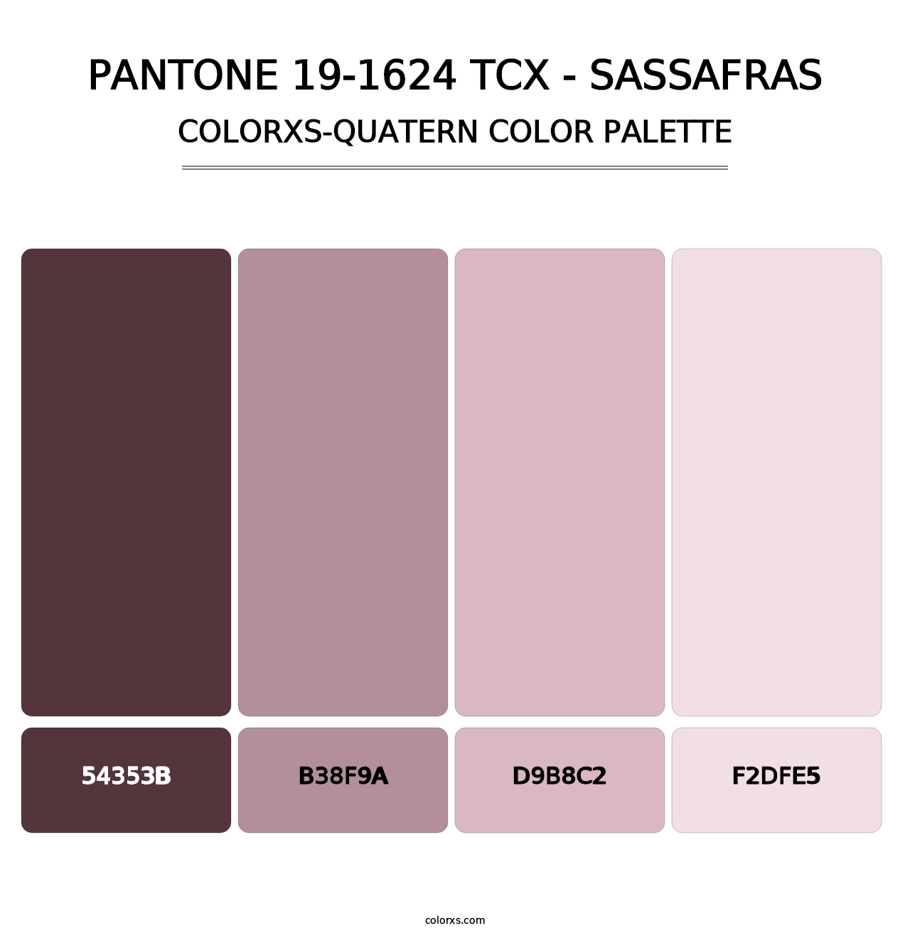 PANTONE 19-1624 TCX - Sassafras - Colorxs Quatern Palette