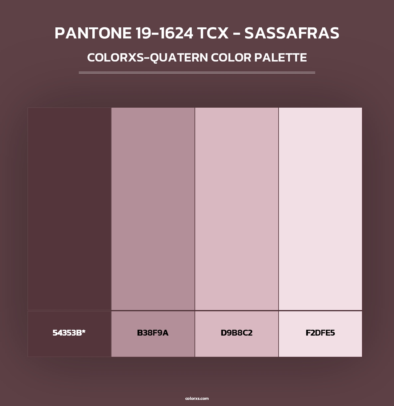 PANTONE 19-1624 TCX - Sassafras - Colorxs Quad Palette