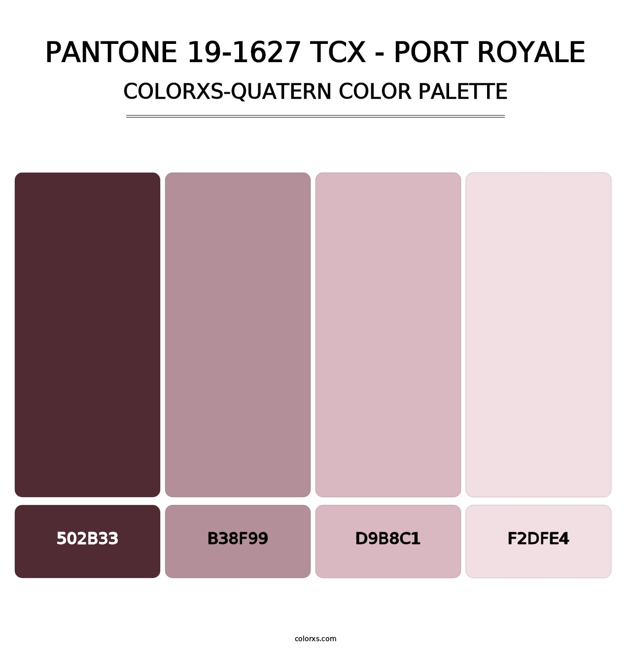 PANTONE 19-1627 TCX - Port Royale - Colorxs Quatern Palette