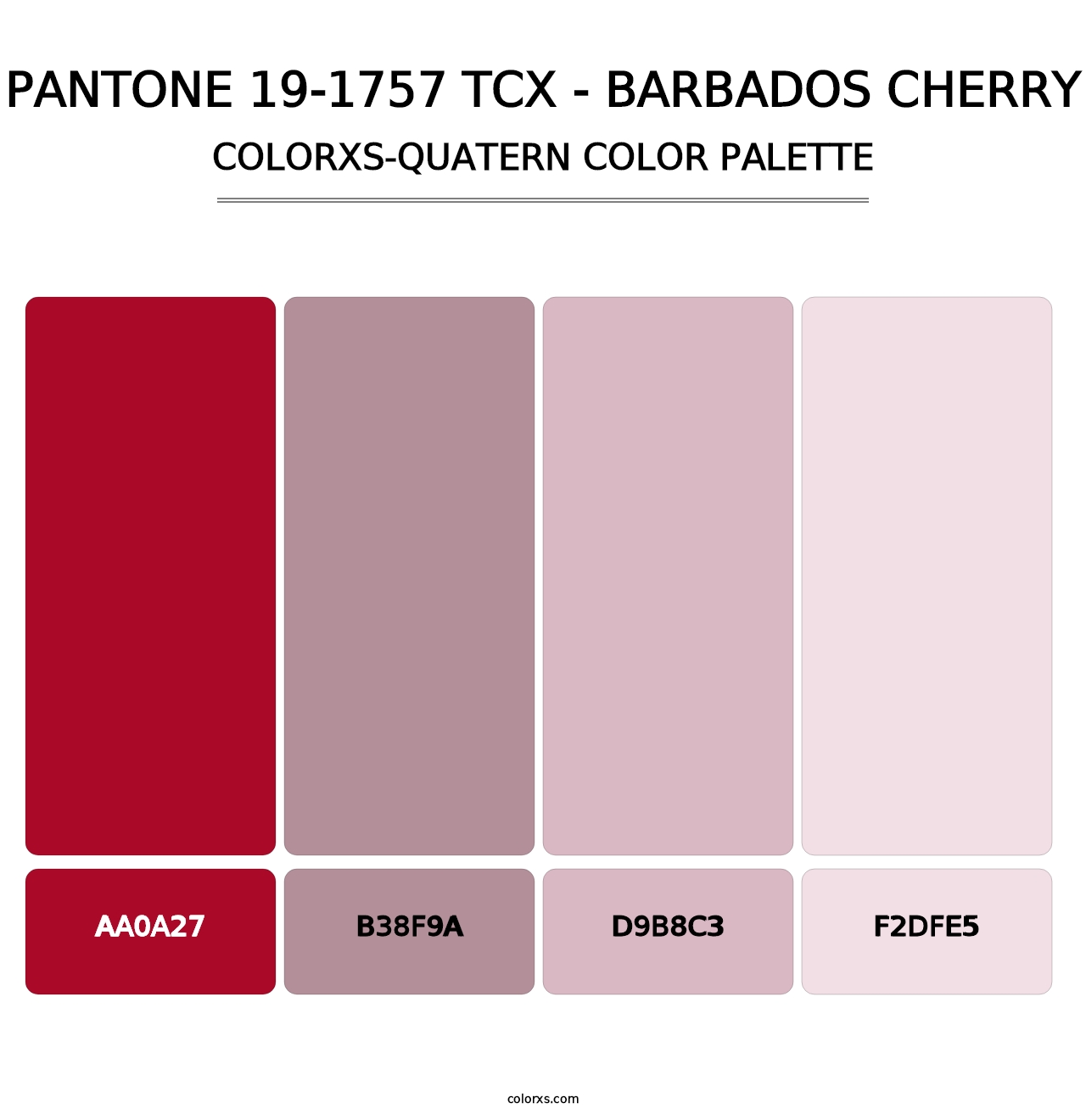 PANTONE 19-1757 TCX - Barbados Cherry - Colorxs Quatern Palette