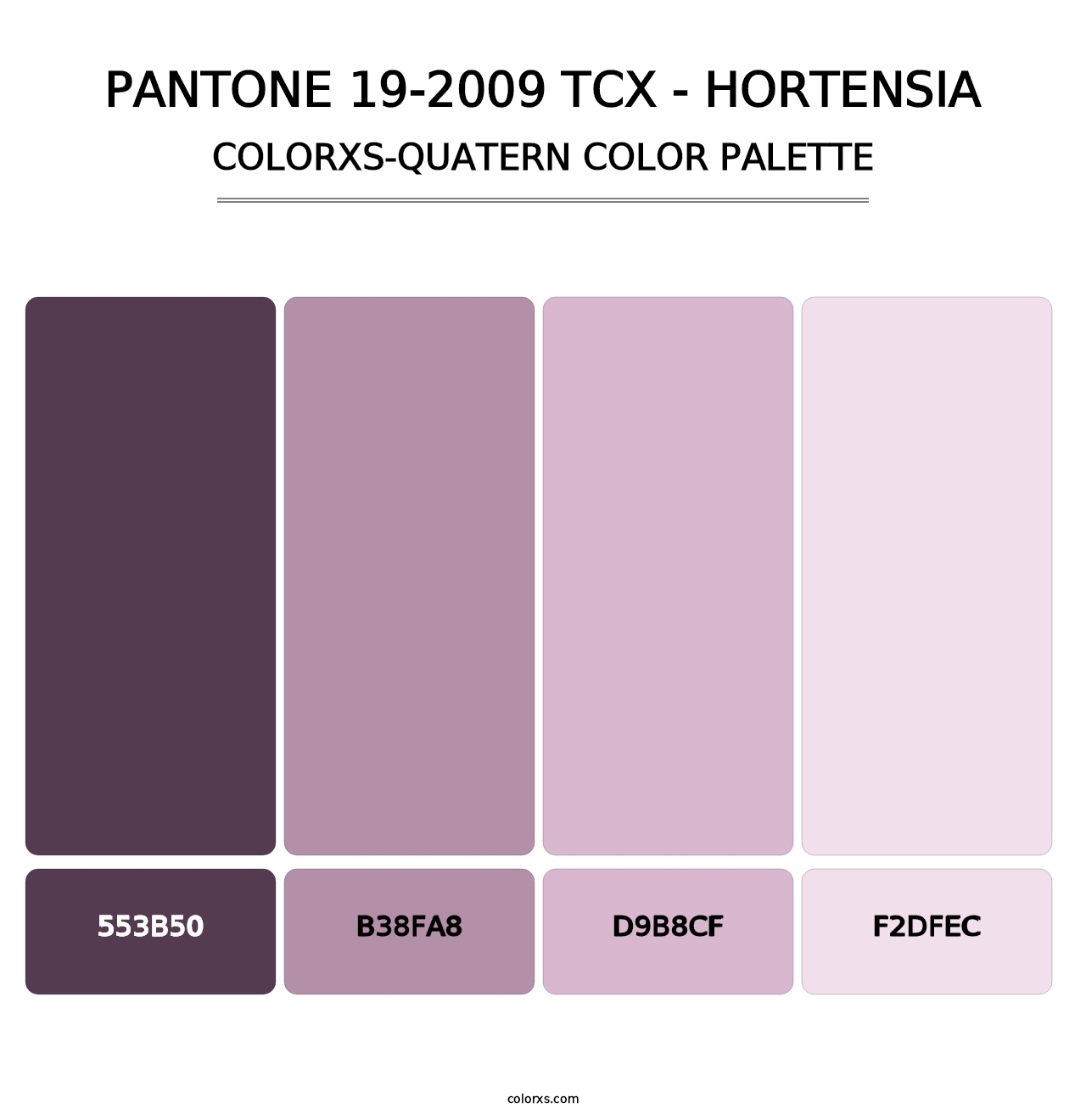 PANTONE 19-2009 TCX - Hortensia - Colorxs Quatern Palette