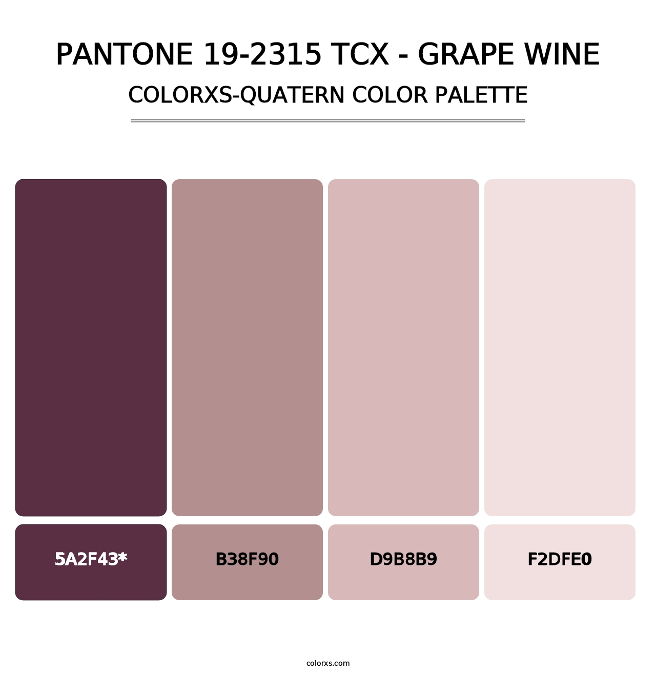 PANTONE 19-2315 TCX - Grape Wine - Colorxs Quatern Palette