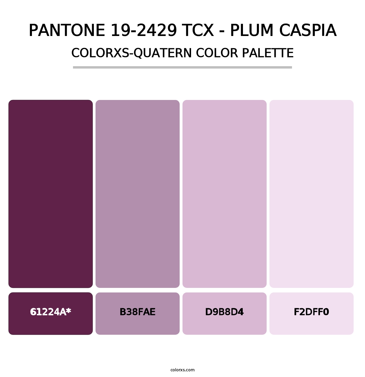 PANTONE 19-2429 TCX - Plum Caspia - Colorxs Quatern Palette