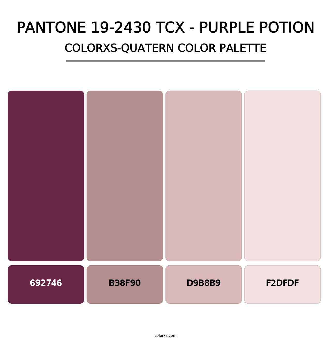 PANTONE 19-2430 TCX - Purple Potion - Colorxs Quatern Palette