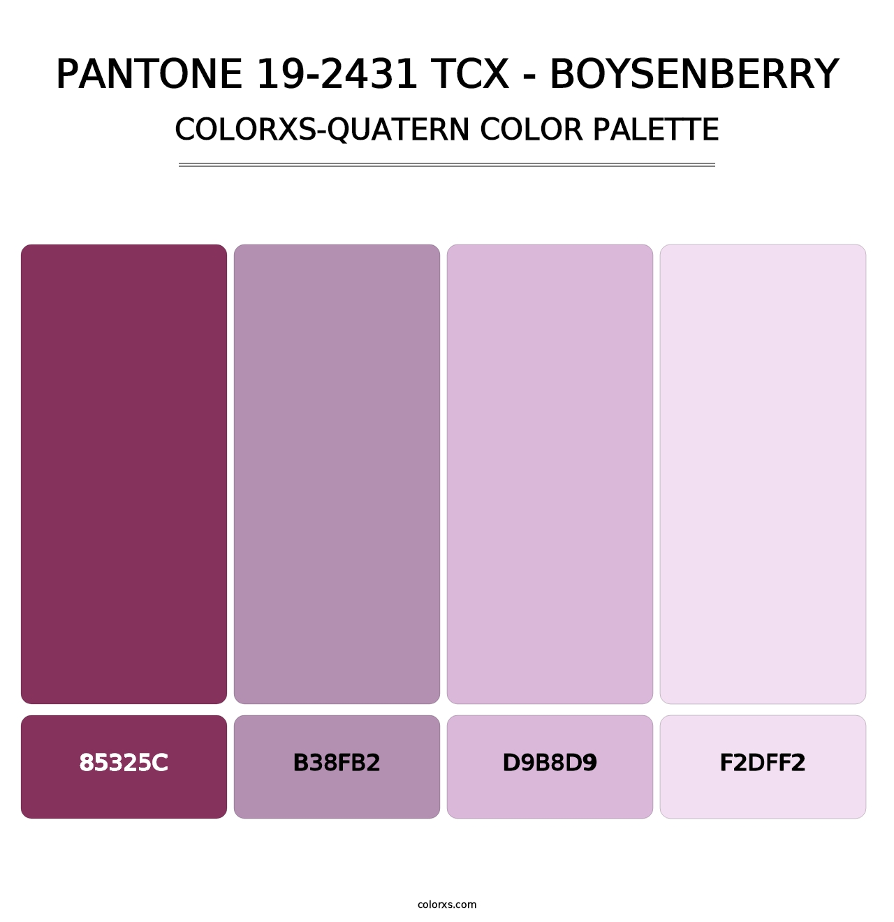 PANTONE 19-2431 TCX - Boysenberry - Colorxs Quatern Palette