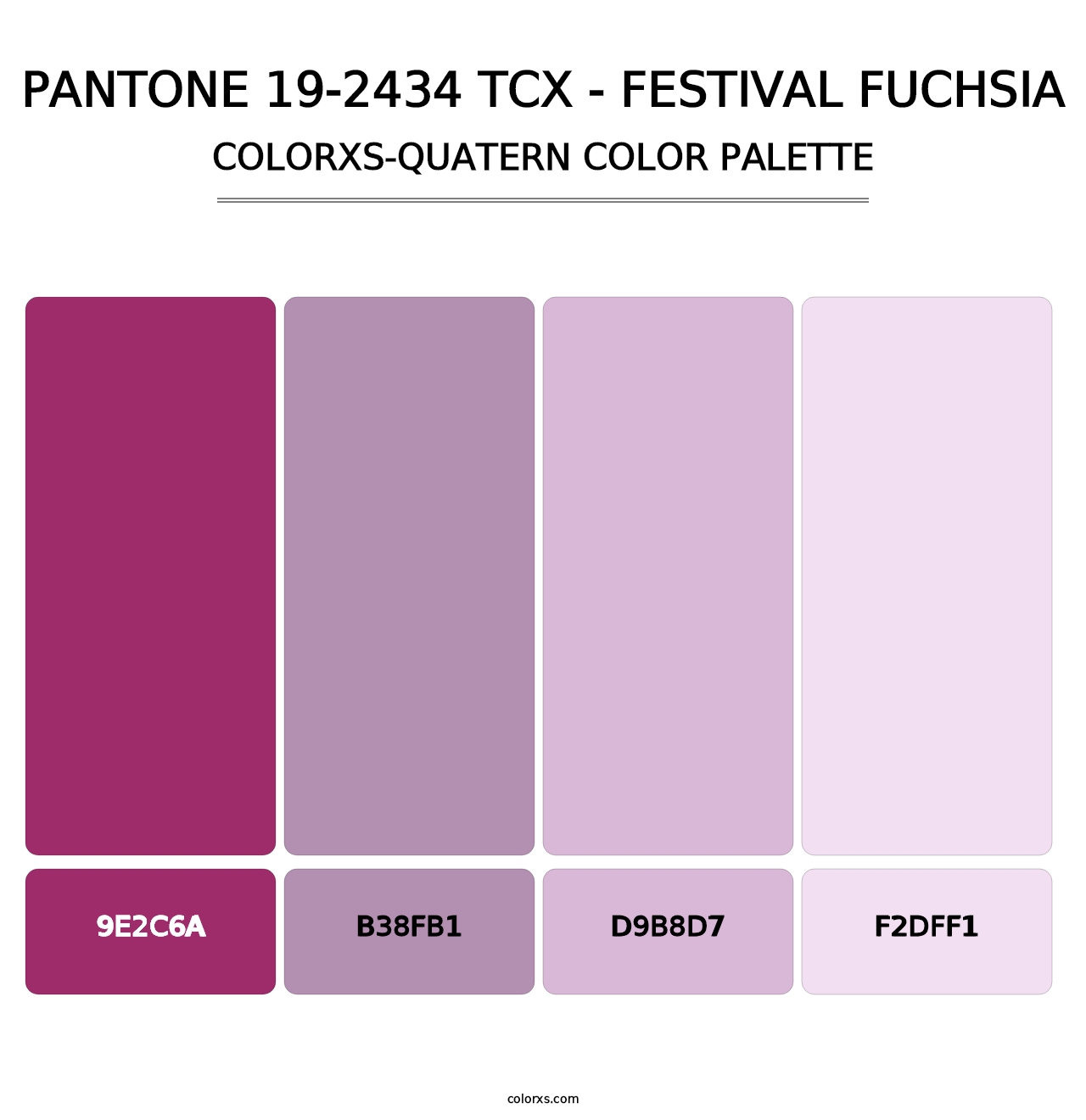 PANTONE 19-2434 TCX - Festival Fuchsia - Colorxs Quatern Palette