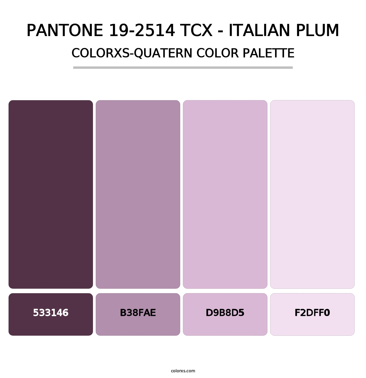 PANTONE 19-2514 TCX - Italian Plum - Colorxs Quatern Palette
