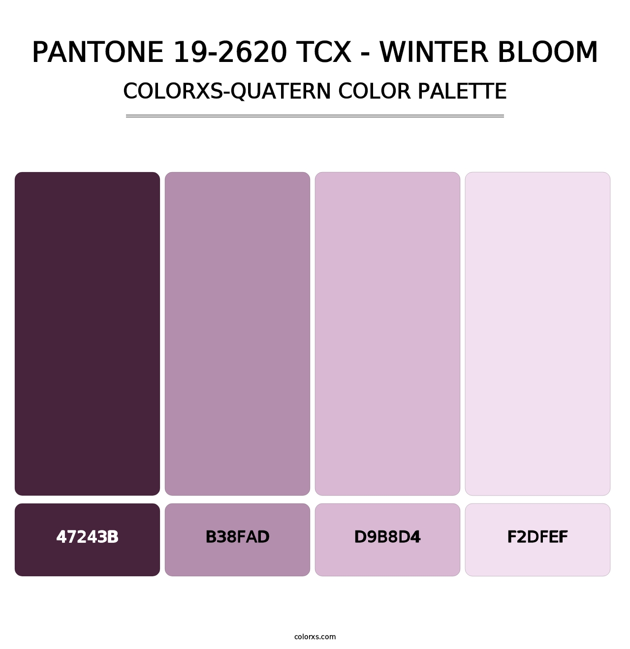 PANTONE 19-2620 TCX - Winter Bloom - Colorxs Quatern Palette