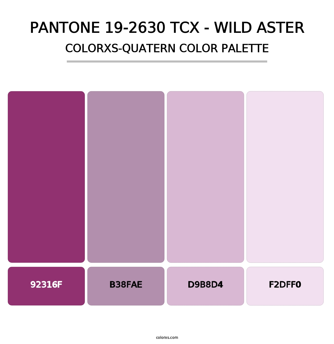 PANTONE 19-2630 TCX - Wild Aster - Colorxs Quatern Palette