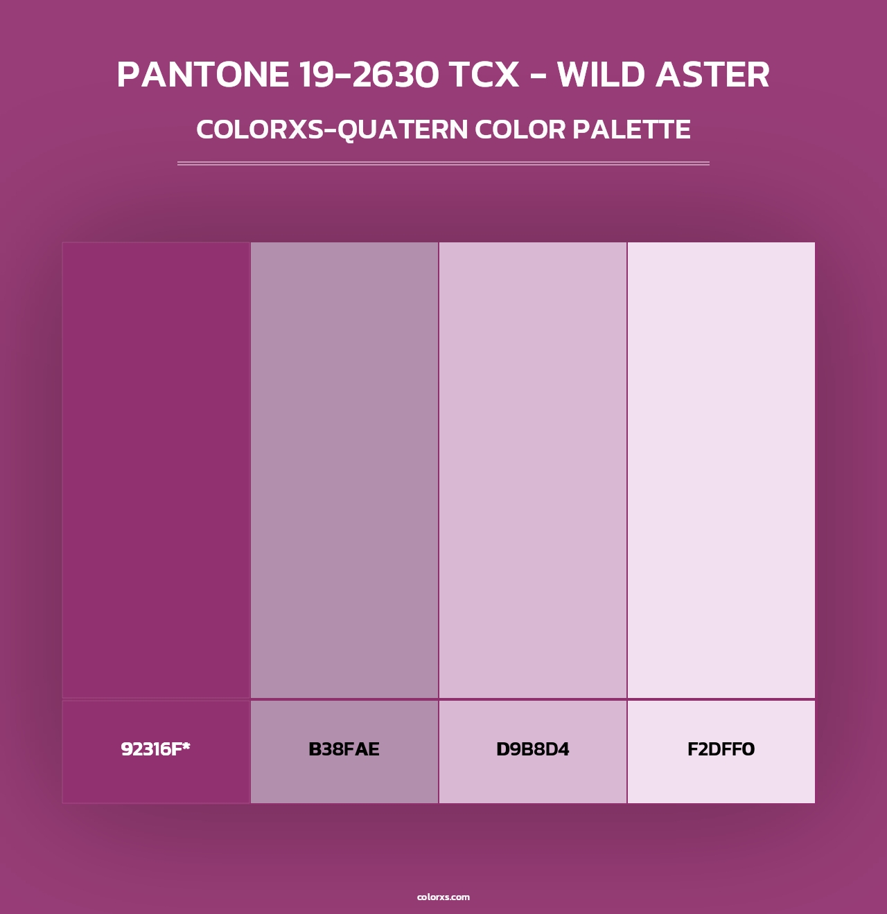 PANTONE 19-2630 TCX - Wild Aster - Colorxs Quad Palette