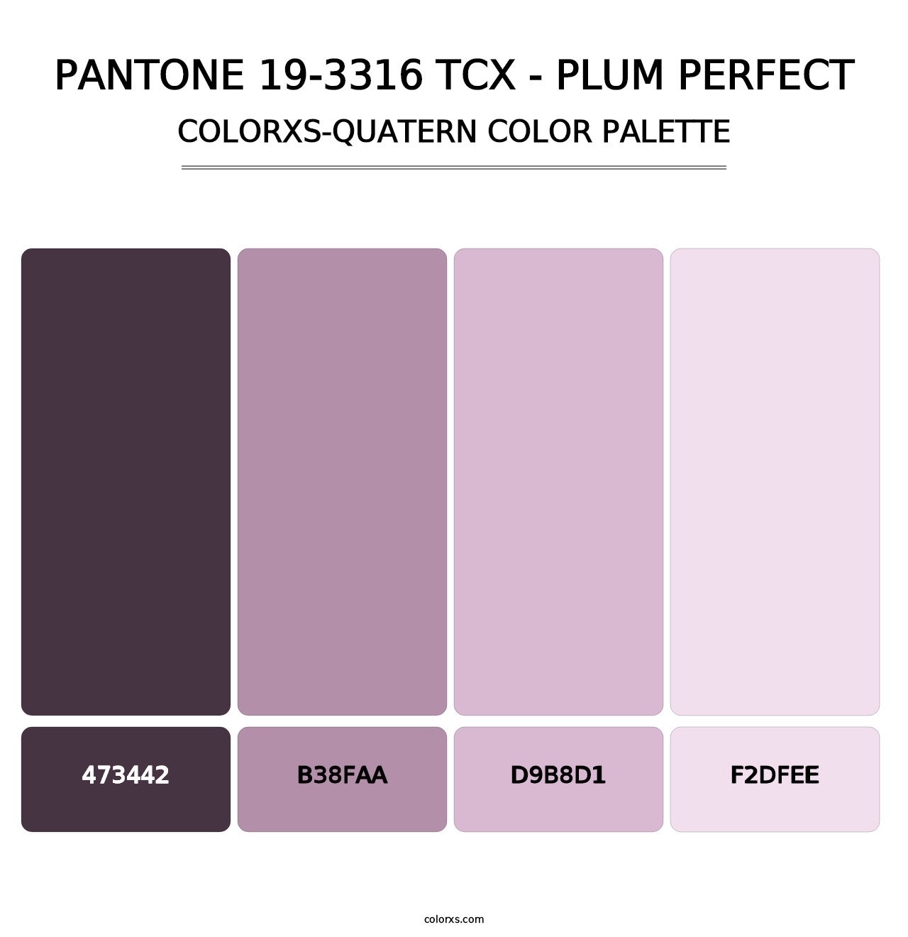 PANTONE 19-3316 TCX - Plum Perfect - Colorxs Quatern Palette