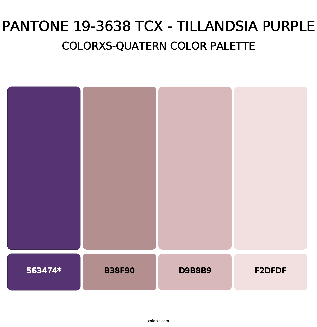 PANTONE 19-3638 TCX - Tillandsia Purple - Colorxs Quatern Palette