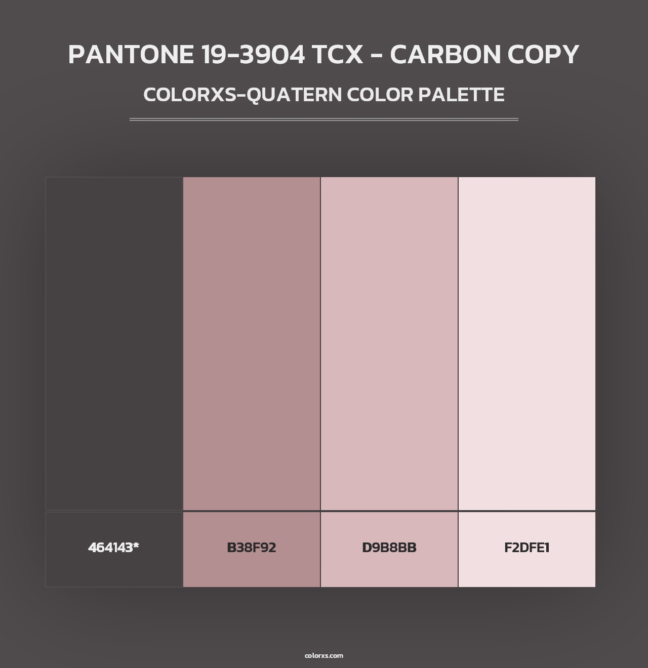 PANTONE 19-3904 TCX - Carbon Copy - Colorxs Quad Palette