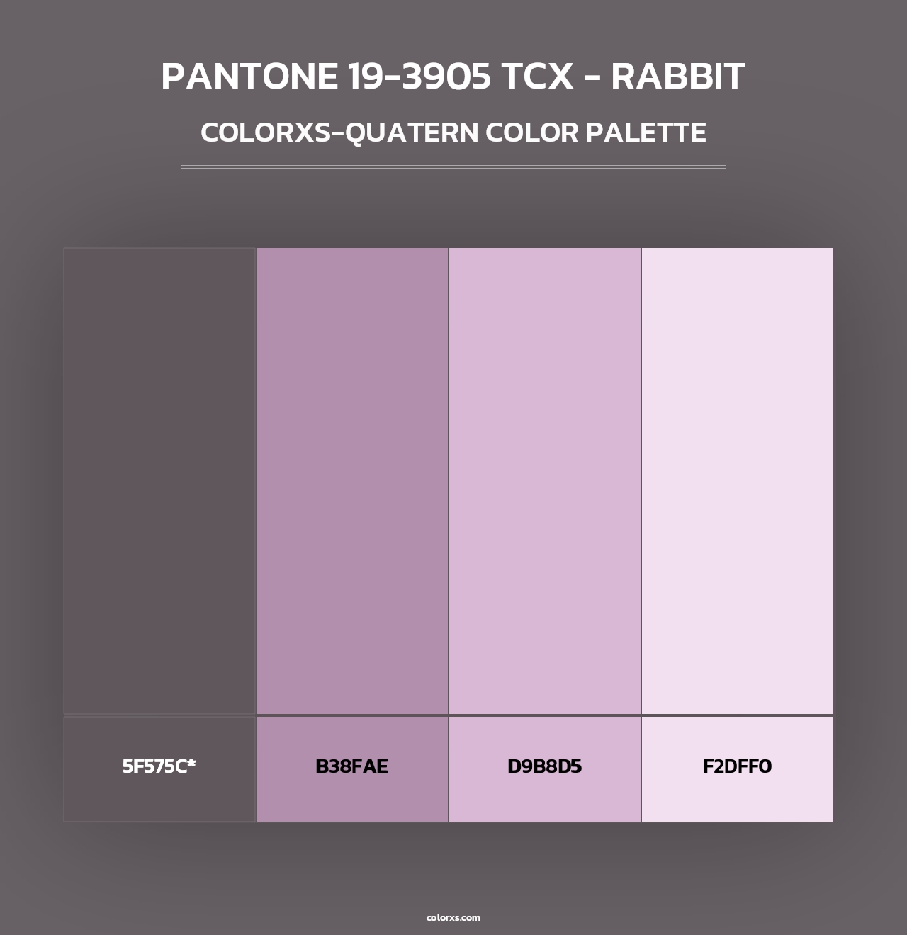 PANTONE 19-3905 TCX - Rabbit - Colorxs Quad Palette