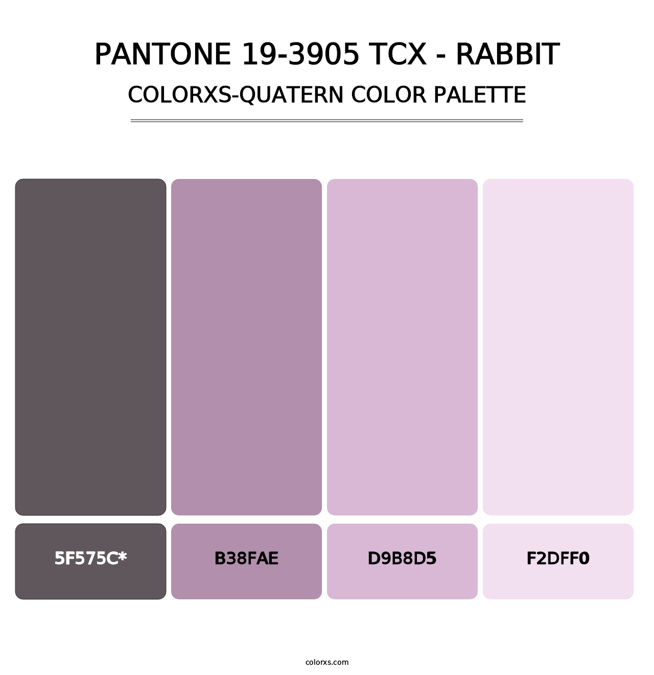 PANTONE 19-3905 TCX - Rabbit - Colorxs Quatern Palette