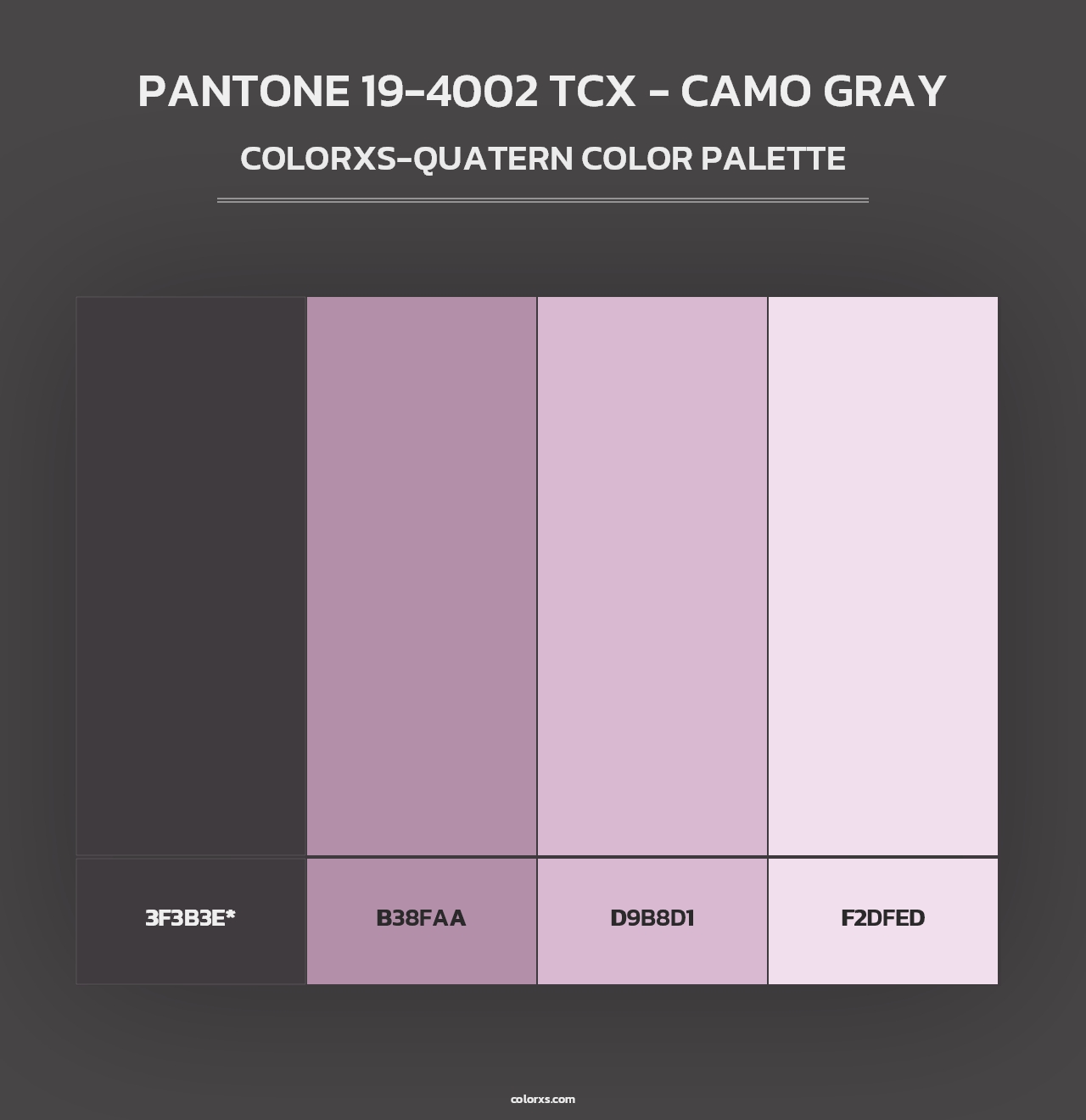 PANTONE 19-4002 TCX - Camo Gray - Colorxs Quad Palette