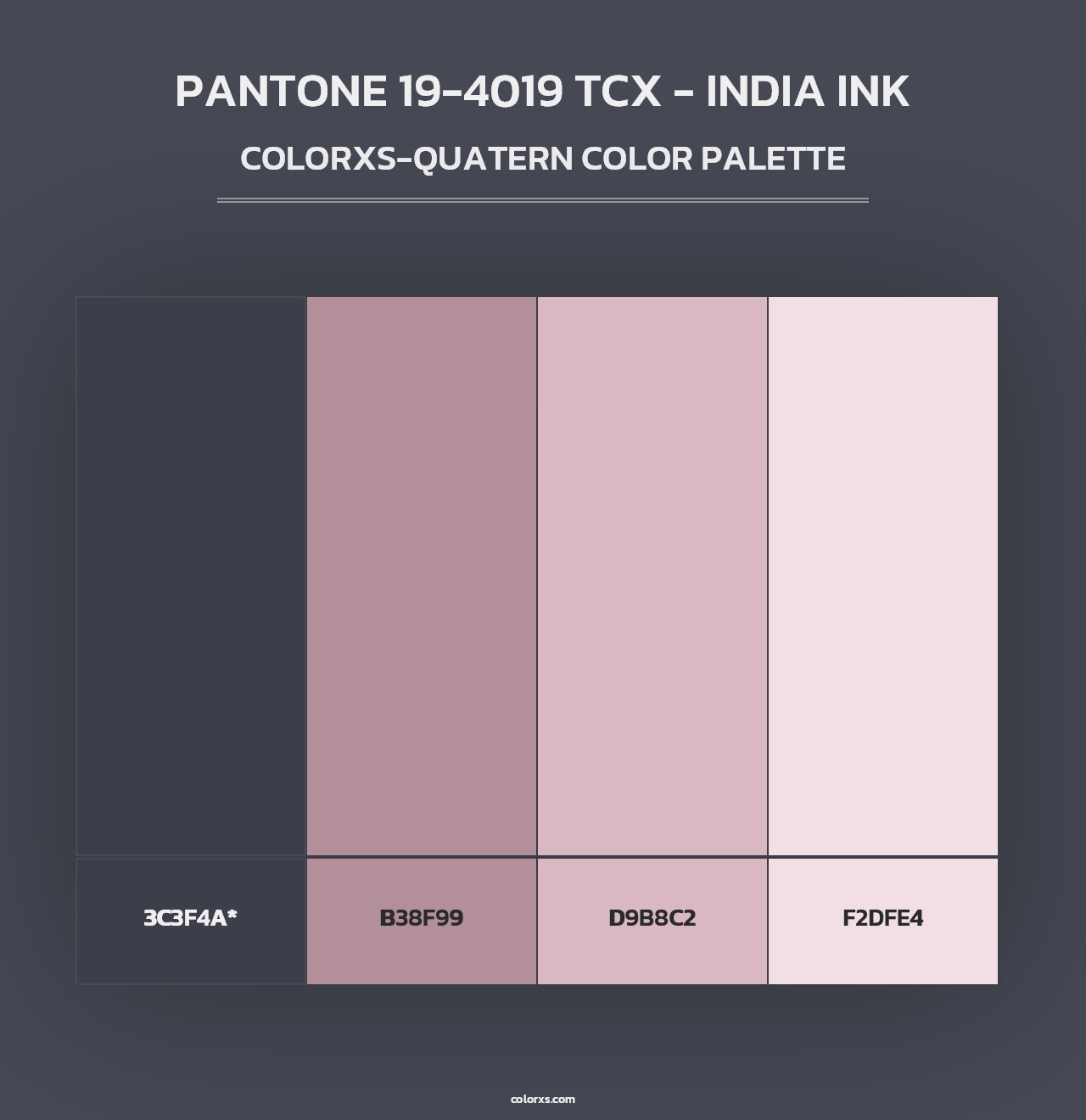 PANTONE 19-4019 TCX - India Ink - Colorxs Quad Palette