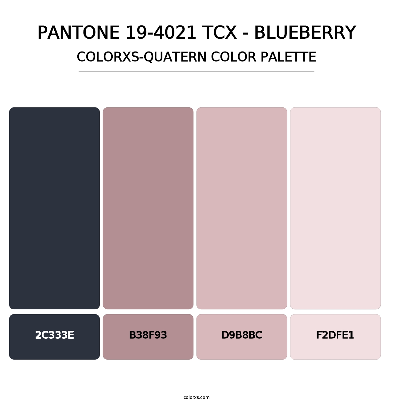 PANTONE 19-4021 TCX - Blueberry - Colorxs Quatern Palette
