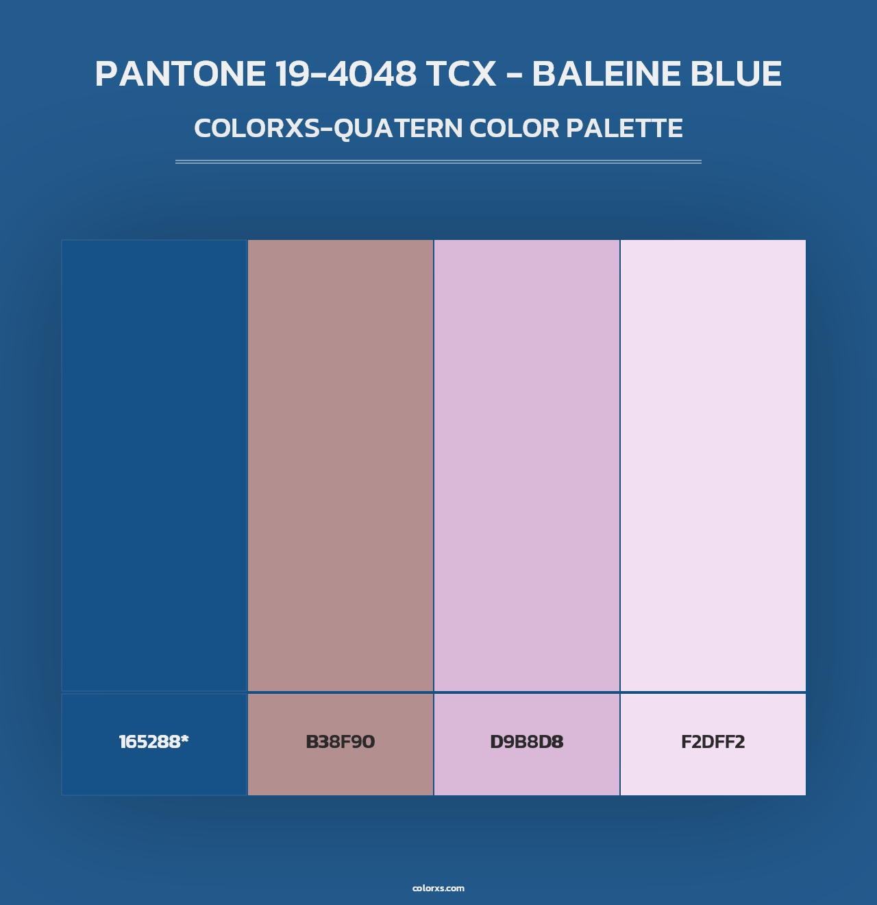 PANTONE 19-4048 TCX - Baleine Blue - Colorxs Quad Palette
