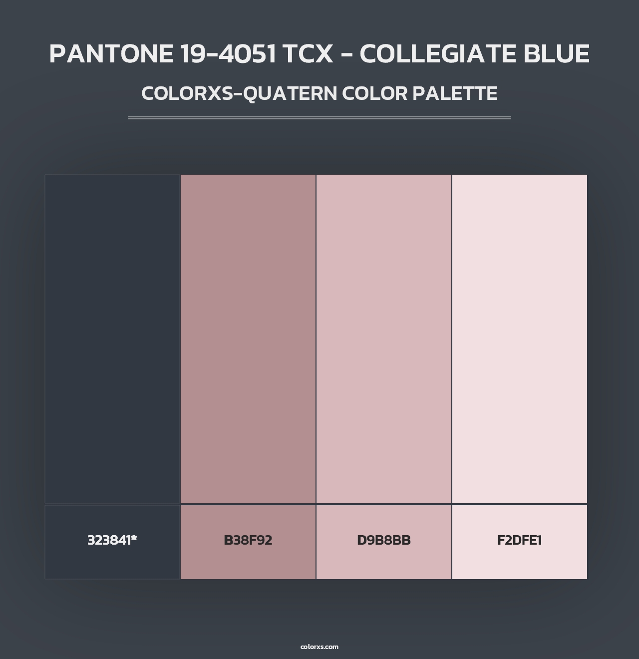 PANTONE 19-4051 TCX - Collegiate Blue - Colorxs Quad Palette