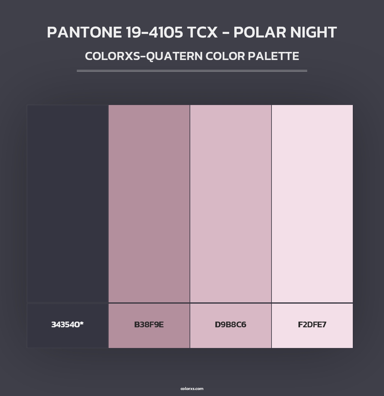 PANTONE 19-4105 TCX - Polar Night - Colorxs Quad Palette