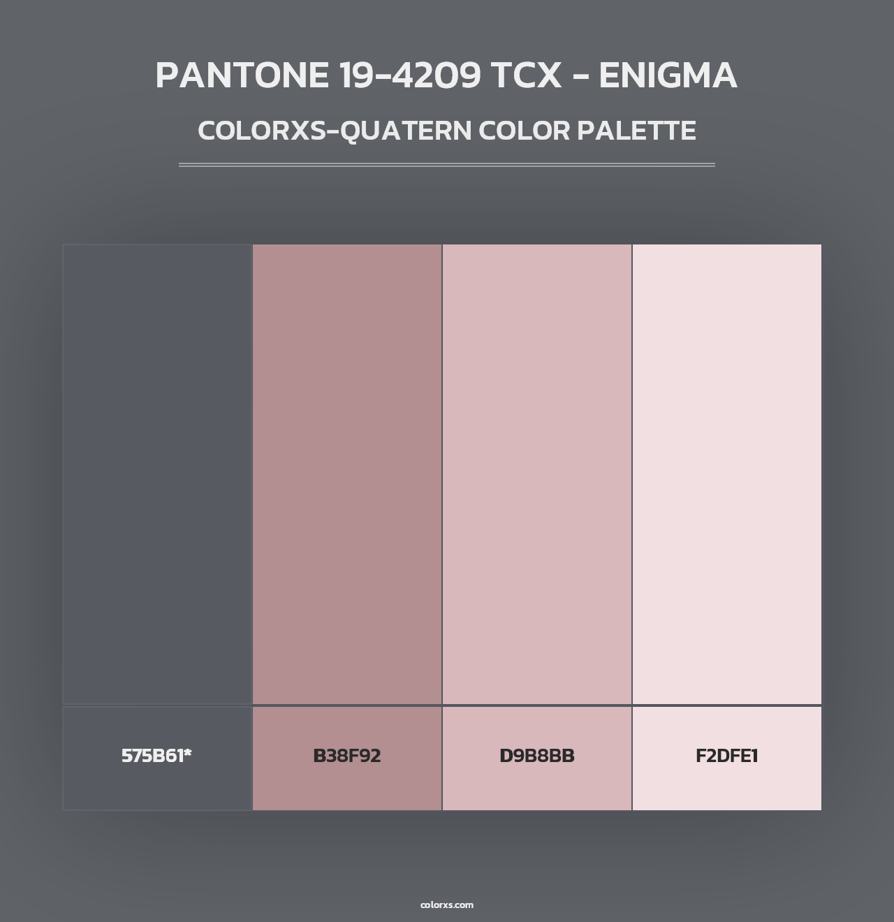 PANTONE 19-4209 TCX - Enigma - Colorxs Quad Palette