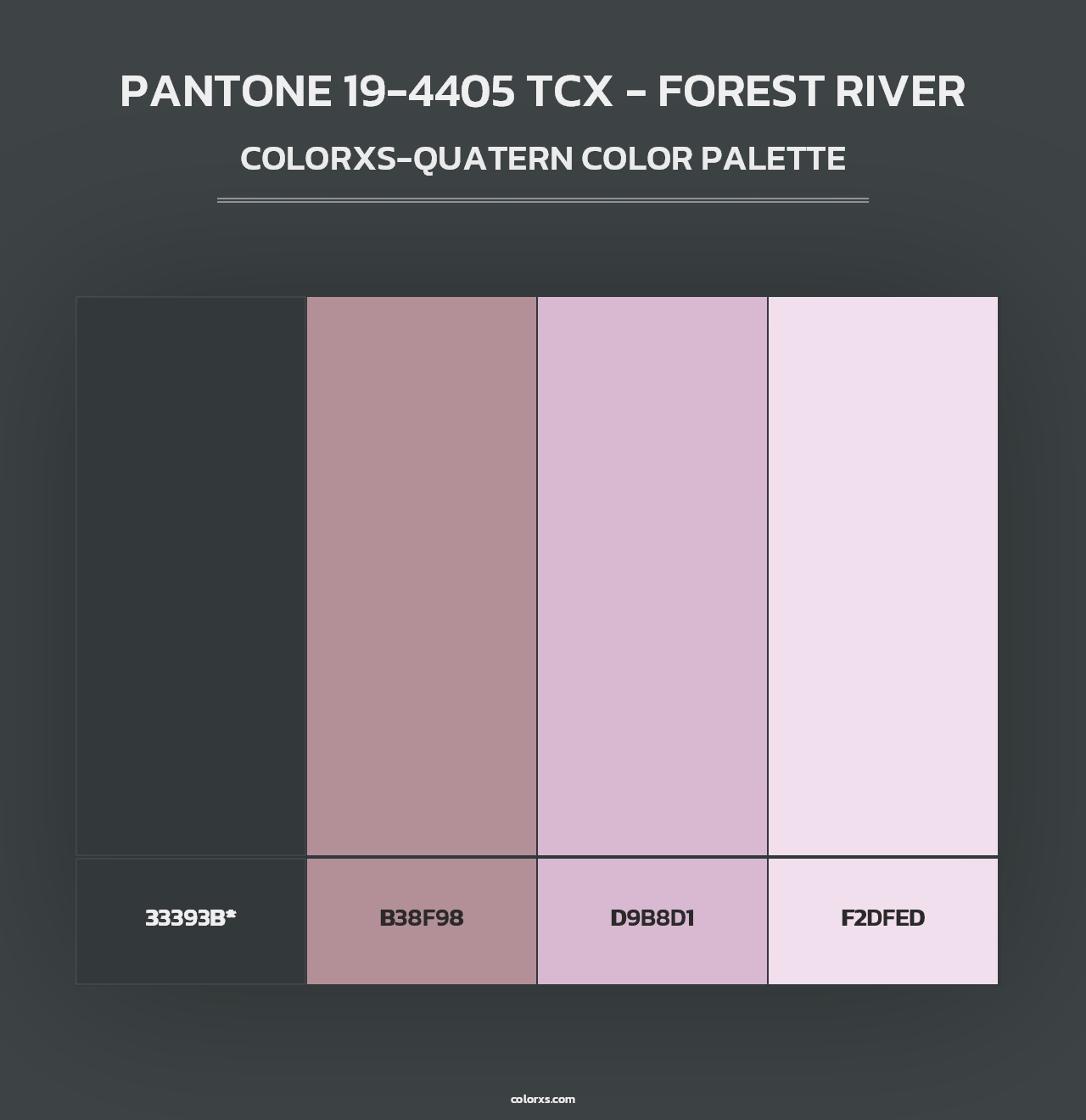 PANTONE 19-4405 TCX - Forest River - Colorxs Quad Palette