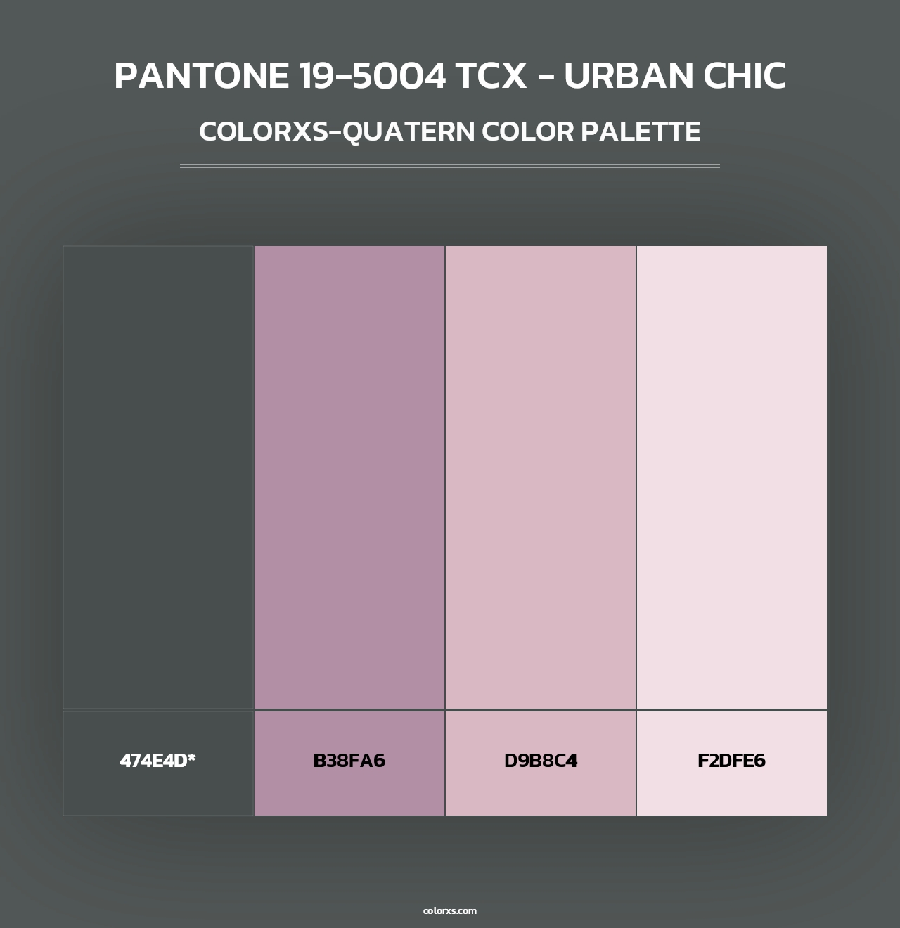 PANTONE 19-5004 TCX - Urban Chic - Colorxs Quad Palette