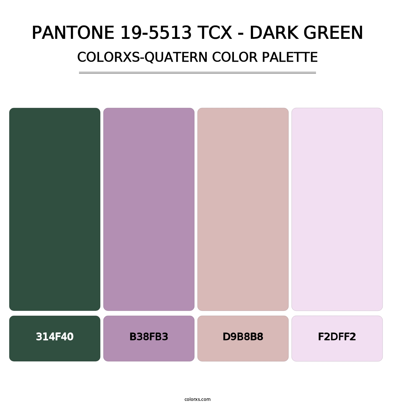 PANTONE 19-5513 TCX - Dark Green - Colorxs Quatern Palette