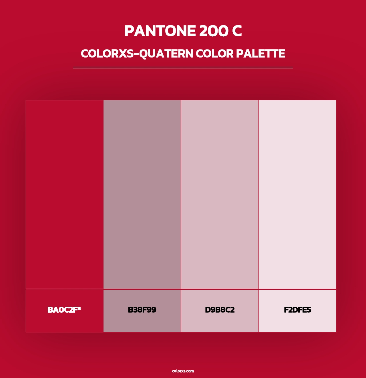 PANTONE 200 C - Colorxs Quad Palette