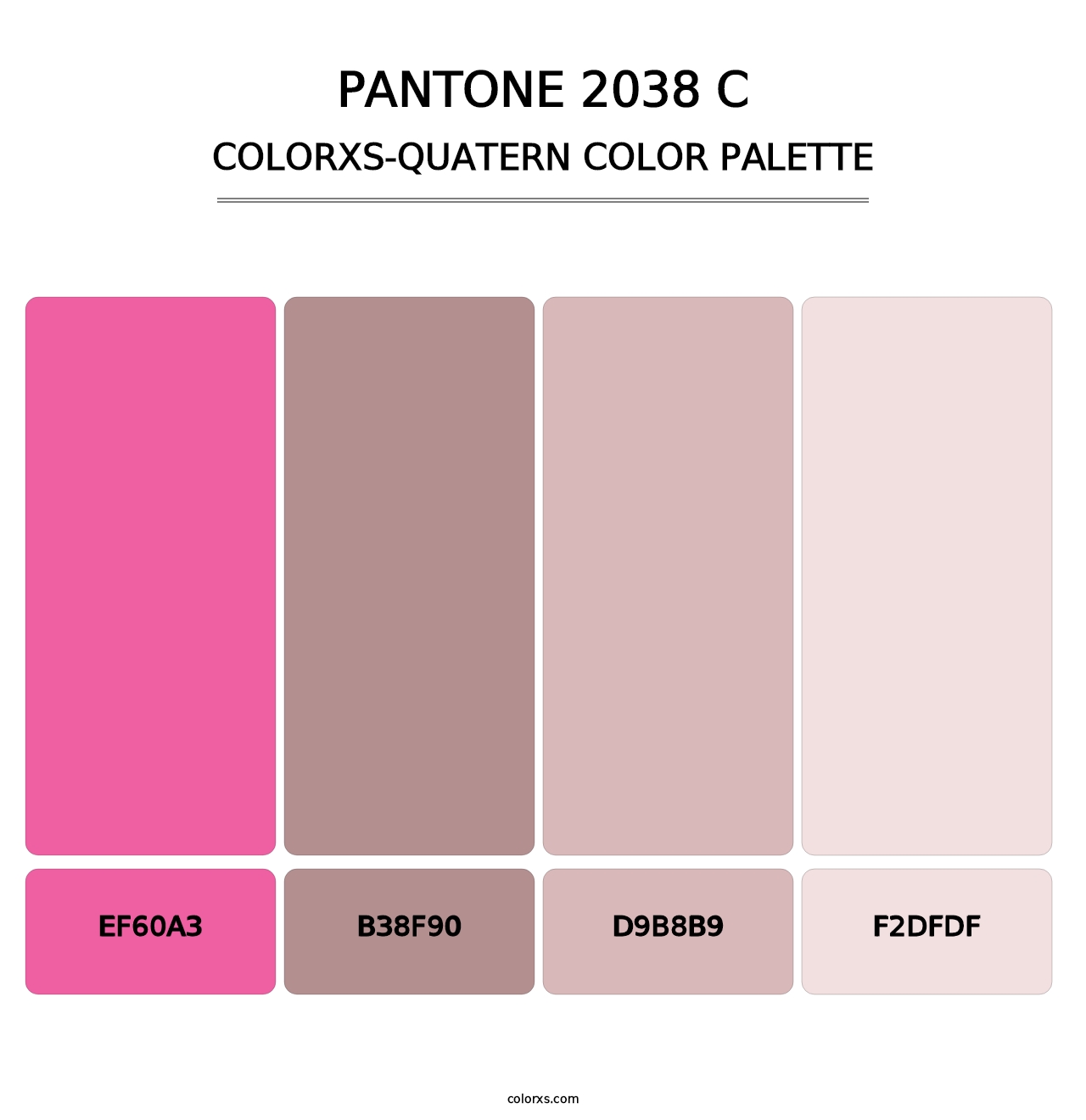 PANTONE 2038 C - Colorxs Quatern Palette