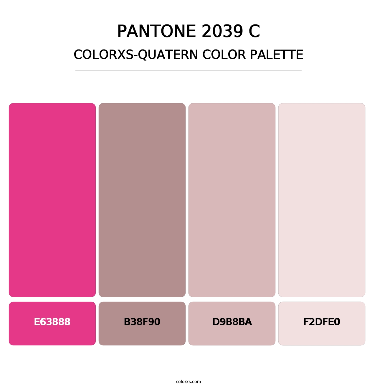 PANTONE 2039 C - Colorxs Quatern Palette