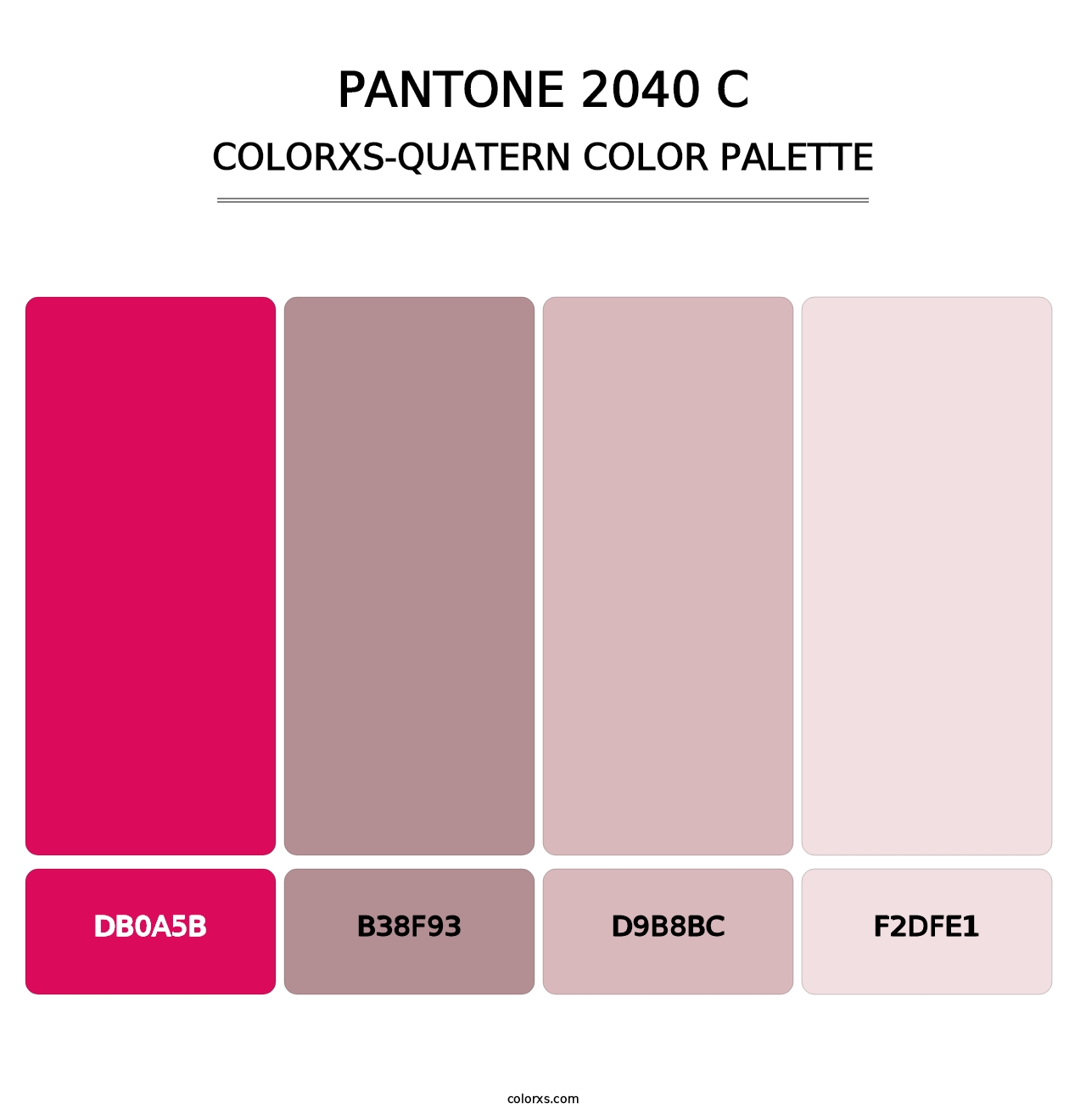 PANTONE 2040 C - Colorxs Quatern Palette