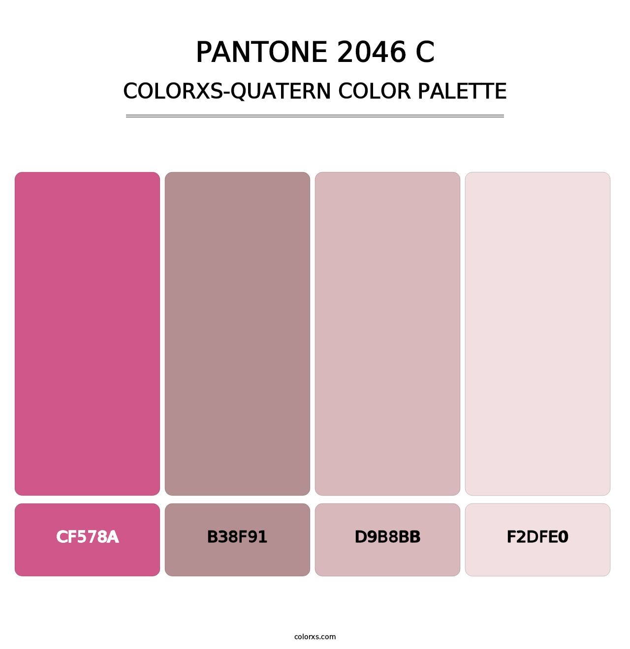 PANTONE 2046 C - Colorxs Quatern Palette