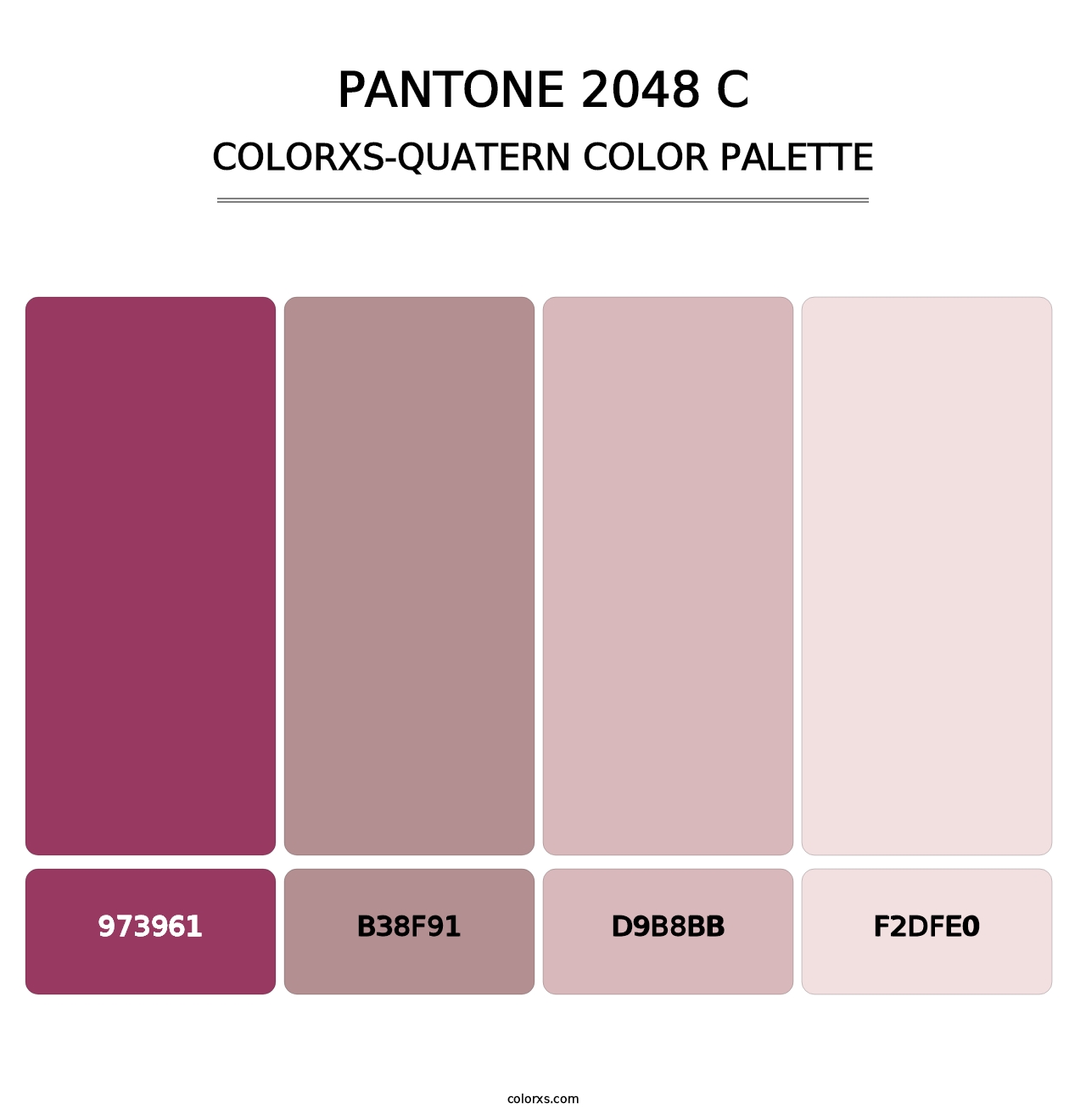 PANTONE 2048 C - Colorxs Quatern Palette