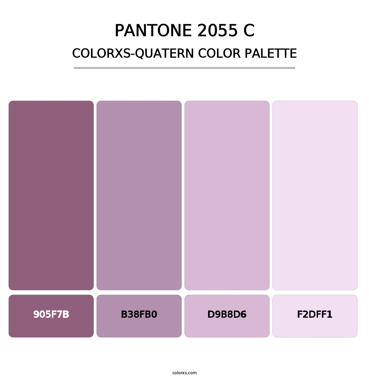 PANTONE 2055 C - Colorxs Quatern Palette