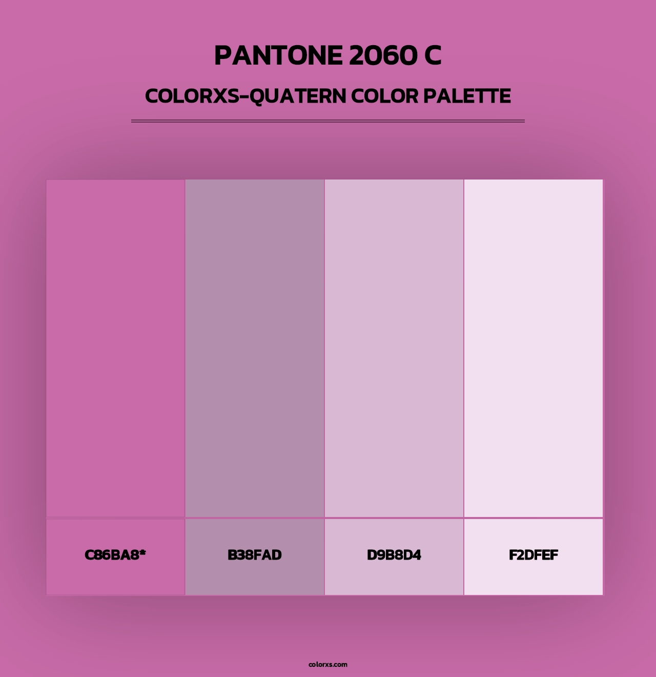 PANTONE 2060 C - Colorxs Quad Palette